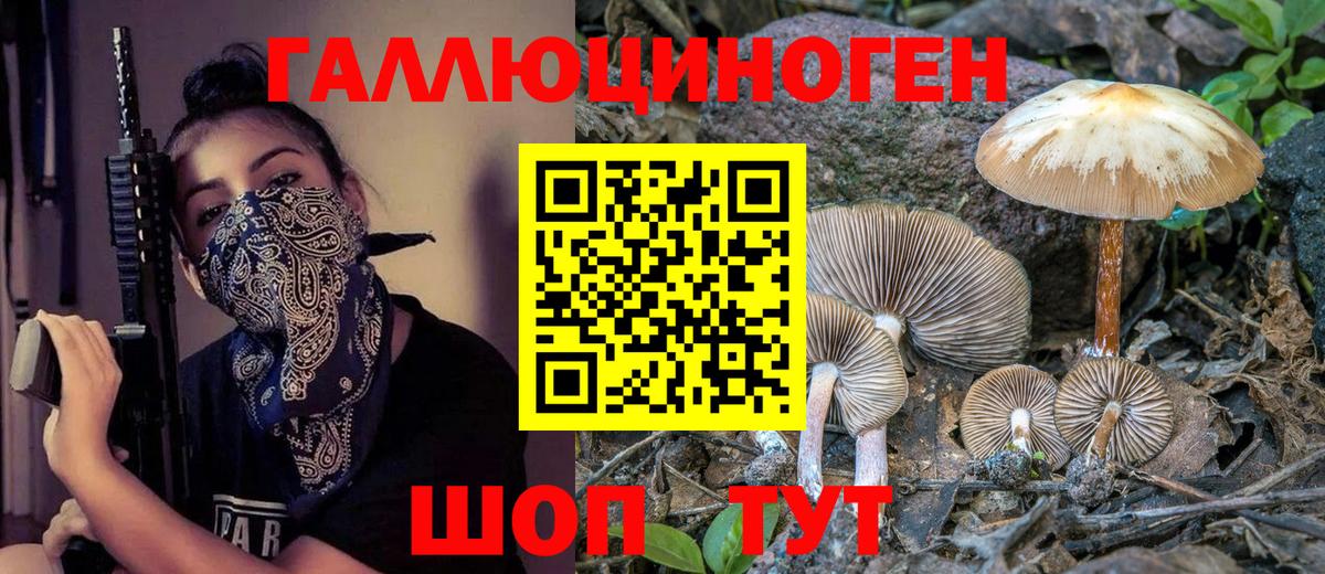 Галлюциногенные грибы GOLDEN TEACHER  Вход с VPN  Тейково 